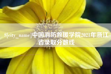 资兴中国消防救援学院2021年浙江省录取分数线