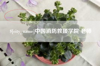 资兴中国消防救援学院 老师