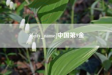 资兴中国第9金