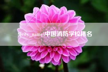 资兴中国消防学校排名