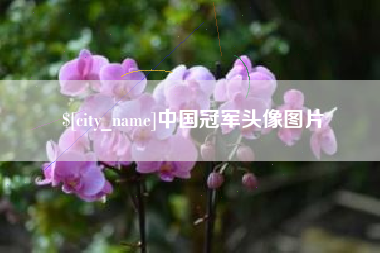 资兴中国冠军头像图片