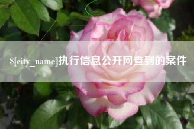 资兴执行信息公开网查到的案件