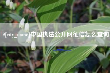 资兴中国执法公开网征信怎么查询