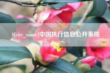 资兴中国执行信息公开系统