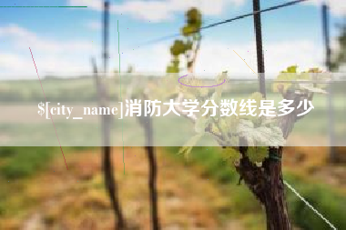 资兴消防大学分数线是多少