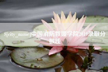 资兴中国消防救援学院2019录取分数线