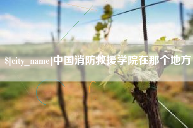资兴中国消防救援学院在那个地方