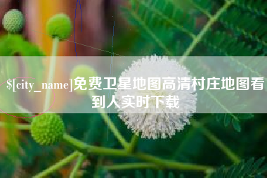 资兴免费卫星地图高清村庄地图看到人实时下载
