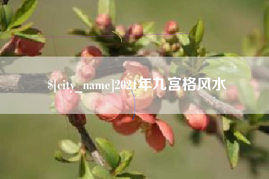 资兴2021年九宫格风水