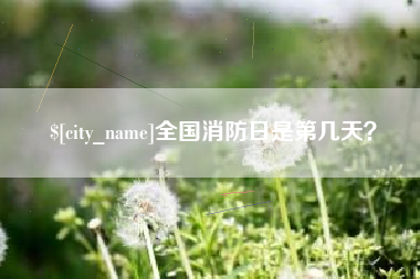 资兴全国消防日是第几天？