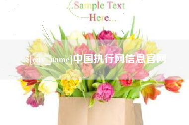 资兴中国执行网信息官网