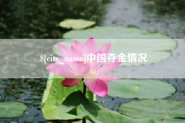 资兴中国夺金情况