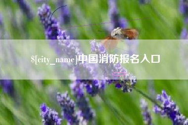 资兴中国消防报名入口