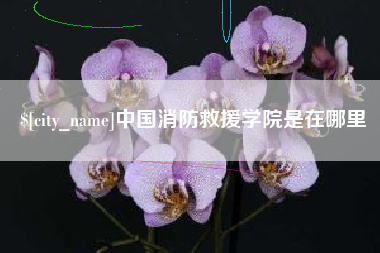 资兴中国消防救援学院是在哪里
