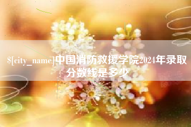 资兴中国消防救援学院2024年录取分数线是多少