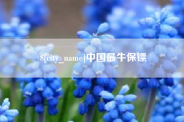 资兴中国最牛保镖