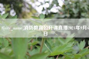 资兴消防教育公开课直播2024年9月6日