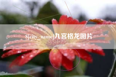 资兴九宫格龙图片