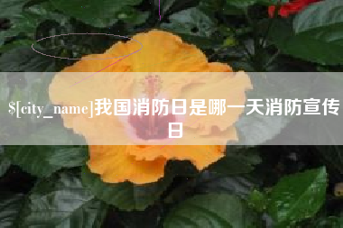 资兴我国消防日是哪一天消防宣传日