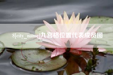 资兴九宫格位置代表成员图