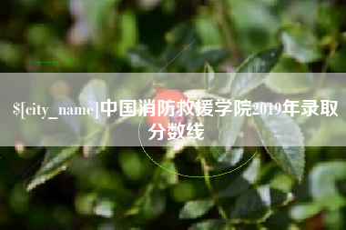 资兴中国消防救援学院2019年录取分数线