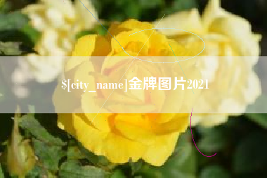 资兴金牌图片2021