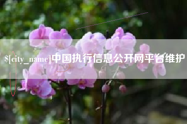 资兴中国执行信息公开网平台维护