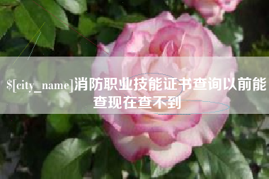 资兴消防职业技能证书查询以前能查现在查不到