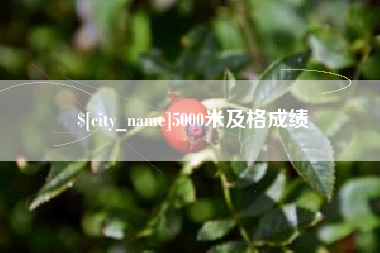 资兴5000米及格成绩