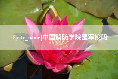 资兴中国消防学院是军校吗