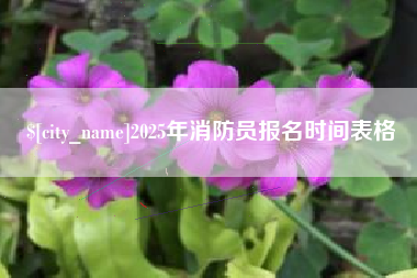 资兴2025年消防员报名时间表格
