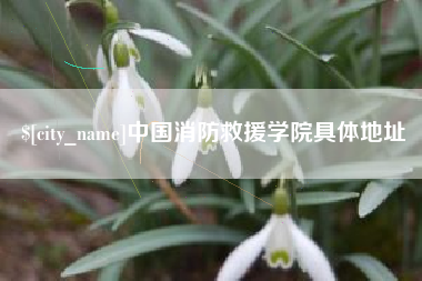 资兴中国消防救援学院具体地址