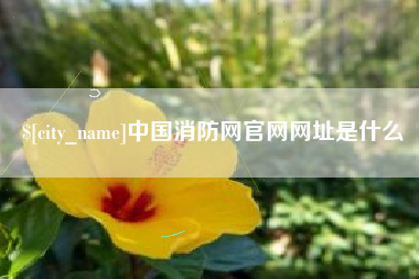 资兴中国消防网官网网址是什么