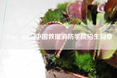 资兴中国救援消防学院招生简章