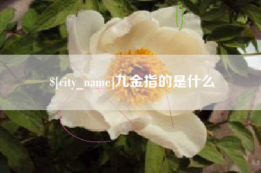 资兴九金指的是什么