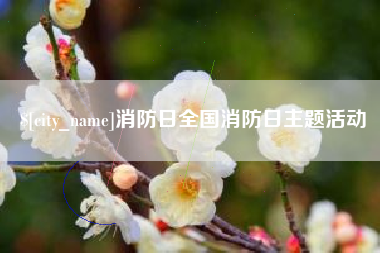 资兴消防日全国消防日主题活动