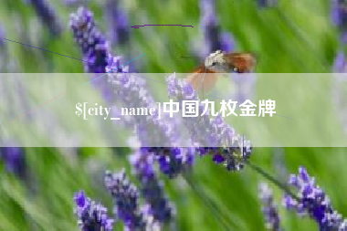 资兴中国九枚金牌