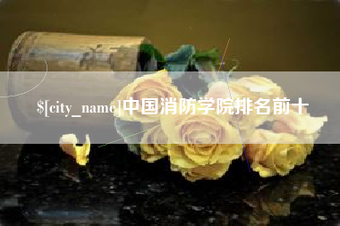资兴中国消防学院排名前十