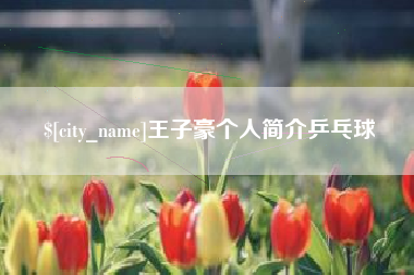 资兴王子豪个人简介乒乓球