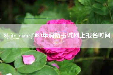 资兴2020年消防考试网上报名时间