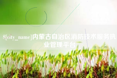 资兴内蒙古自治区消防技术服务执业管理平台