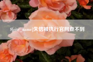 资兴失信被执行官网查不到