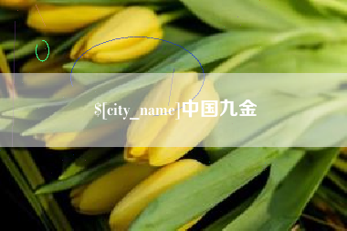 资兴中国九金