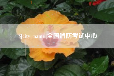 资兴全国消防考试中心