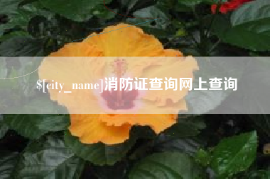 资兴消防证查询网上查询