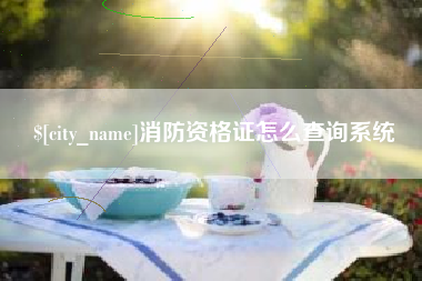 资兴消防资格证怎么查询系统