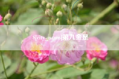 资兴第九金是