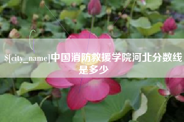 资兴中国消防救援学院河北分数线是多少