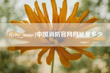 资兴中国消防官网网址是多少