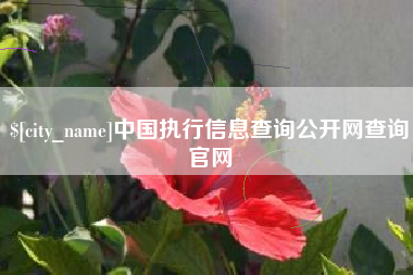 资兴中国执行信息查询公开网查询官网
